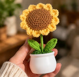 Sunflower gift set close-up